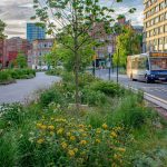 The Second Edition of ‘The Dynamic Landscape’ by Nigel Dunnett and James Hitchmough: What’s New?