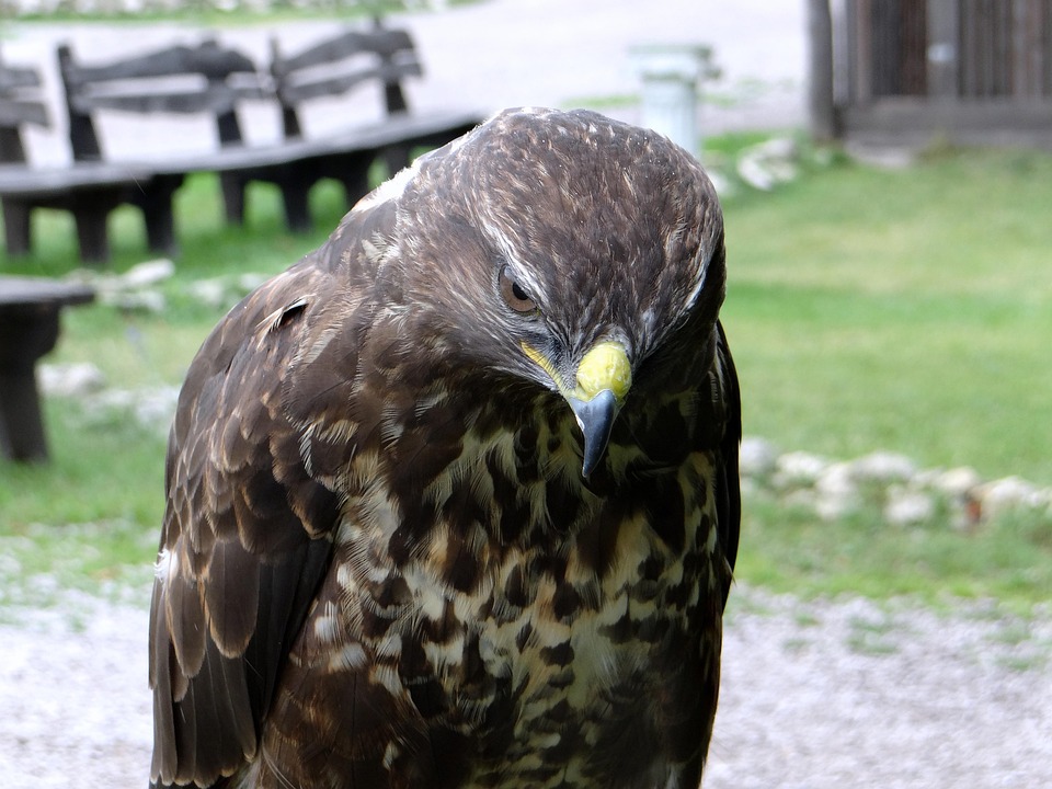 Symbolic Essay: Veins of Stone, Strings of Sky