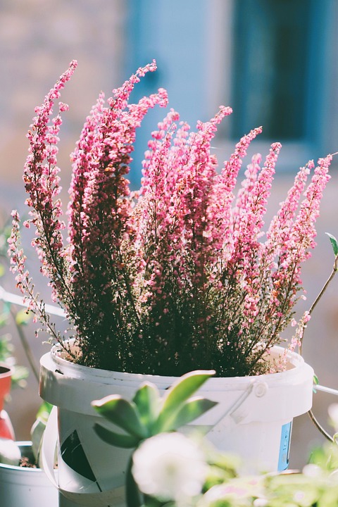 Eco How-To: Woven Branches Transform Wire Fences