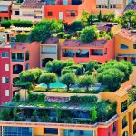 Seasonal Ritual: Frost salts the Stained-glass Pathways