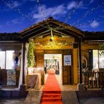 Symbolic Essay: The Garden’s Pulse Resonates in Bloom