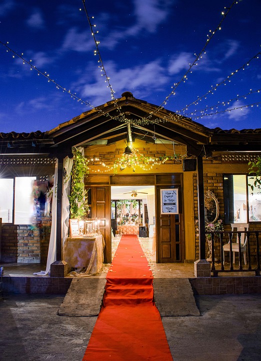 Symbolic Essay: The Garden’s Pulse Resonates in Bloom