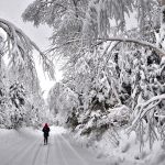 Poetic Guide: Where Clouds Kneel at the Base of Firm Roots