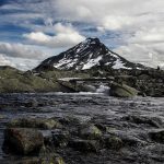 Eco How-To: Crafting Rooftop Honeyed Living Canopies