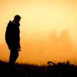 Eco How-To: Nurturing Wildflower Sanctuaries with Morning Dew