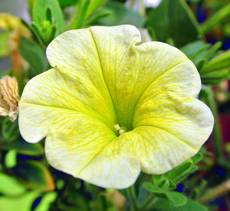 Eco How-To: Designing Rooftop Habitats for Winged Visitors