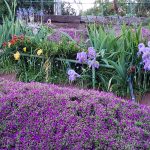 Seeding Problems? Seeding Problems?