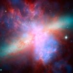 Eco How-To: Weaving Moss into Walls Eco How-To: Weaving Moss into Walls