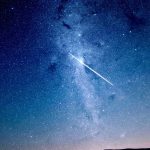 Seasonal Ritual: Unfurl Like Spring Seasonal Ritual: Unfurl Like Spring