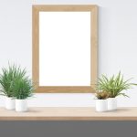 Poetic Guide: Cozy nooks where shadows dance and sunlight sighs