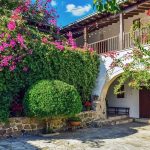 Eco How-To: Nurturing Edible Quiet Corners