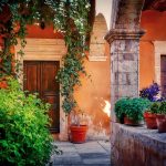 Top 5 Ideas for Floating Herb Havens