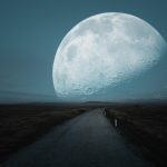 Poetic Guide to the Language of Indoor Plants