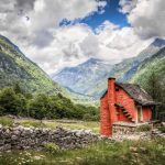 Seasonal Ritual: Dusk’s Collapse into the Fern’s Final Verse