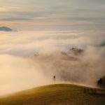 Symbolic Essay: Frosted Ritual Grounds, Pinefields & Hearth Hurdles Symbolic Essay: Frosted Ritual Grounds, Pinefields & Hearth Hurdles