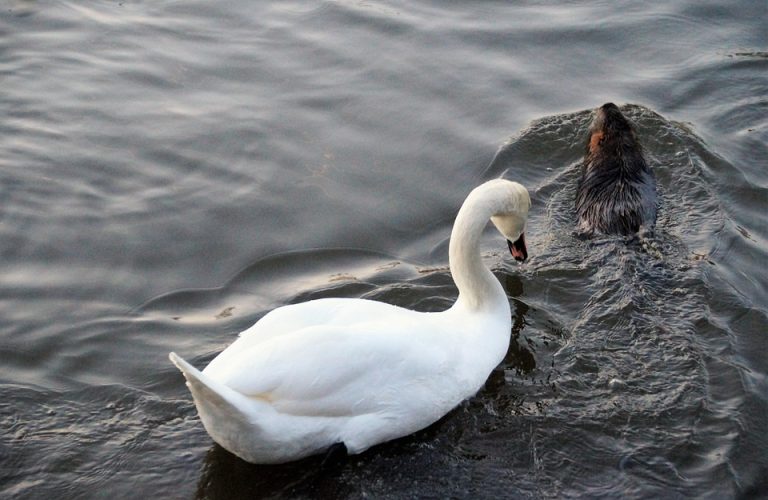 Poetic Guide: Ancient Stone Pathways