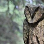 Poetic Guide: Driftwood Whispers & Moonlit Wool Ensnared Poetic Guide: Driftwood Whispers & Moonlit Wool Ensnared