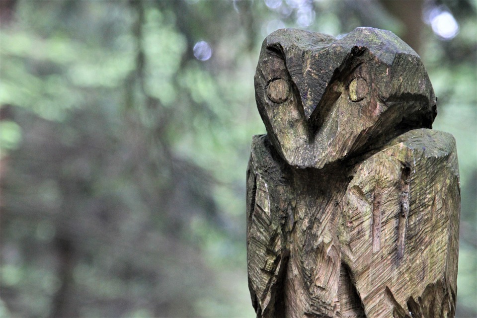 Poetic Guide: Driftwood Whispers & Moonlit Wool Ensnared