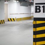 Top 5 Ideas: Seedling poetry ignites earth’s gentle glow