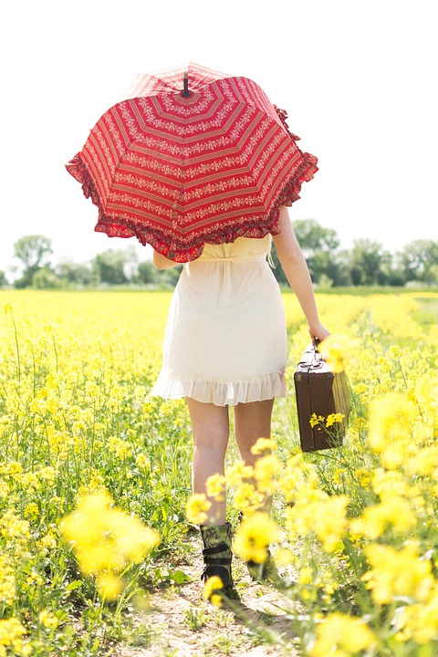 Symbolic Essay: Ascending Paths – A Journey Planted Deep