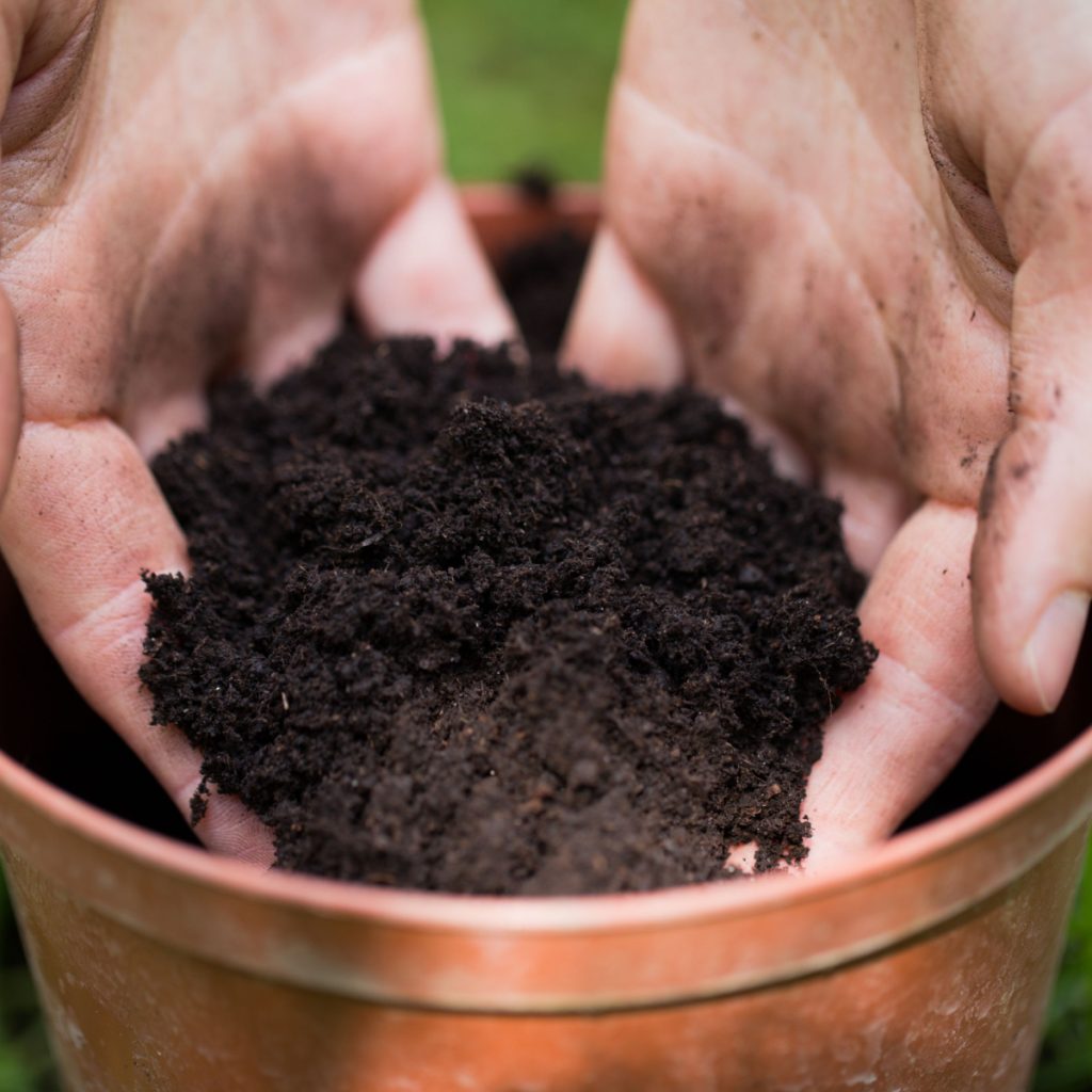 Create High The Perfect Potting Soil Mix For Baskets & Pots!