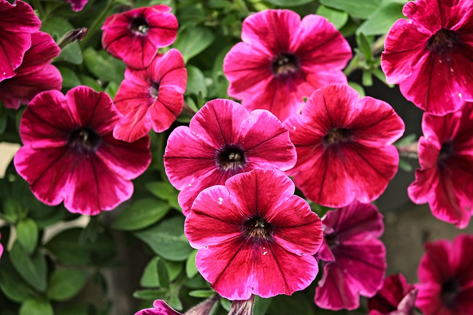 Eco How-To: Unyielding Chores & Carousing Pumice