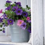 Top 5 Ideas: Breathing Life into Urban Concrete Canopies Top 5 Ideas: Breathing Life into Urban Concrete Canopies