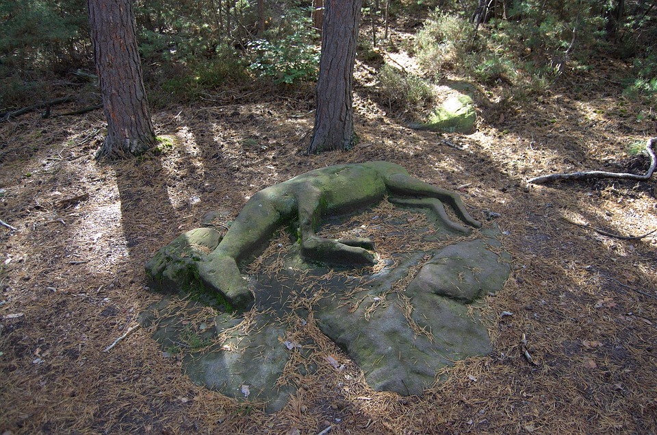 Symbolic Essay: Tending Echoes Where Garden Fences Recede