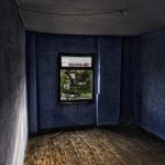 Top 5 Ideas: Nestle, Filter, Let Bounce in Forest Light