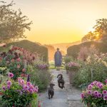 Required Reading: ‘A Year of Cut Flowers’ by Sarah Raven Required Reading: ‘A Year of Cut Flowers’ by Sarah Raven