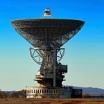 PoeticGuide to Chrysanthemums + Sunlight