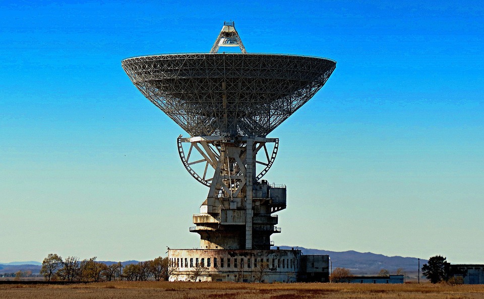 PoeticGuide to Chrysanthemums + Sunlight