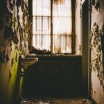 Seasonal Ritual: Sculpting Sanctuaries in Autumn’s Veil