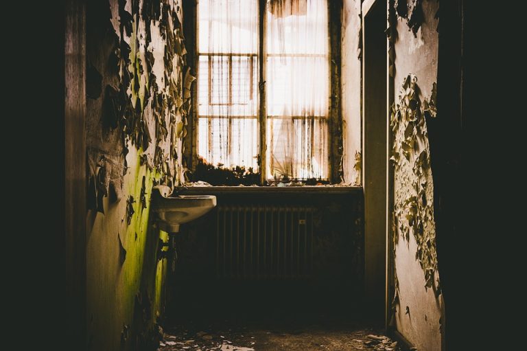 Seasonal Ritual: Sculpting Sanctuaries in Autumn’s Veil