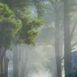 Eco How-To Living Remotes with Timber Wisdom