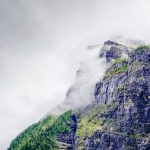 Eco How-To for wildflower alleys