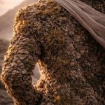 Poetic Guide To Mossweaving Gently