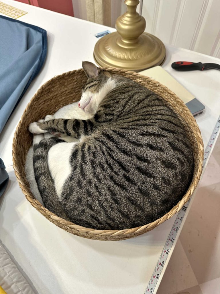 Life With Tiger (An Update)