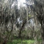 Eco How-To: Weave Moisture, Heal Barren Ground