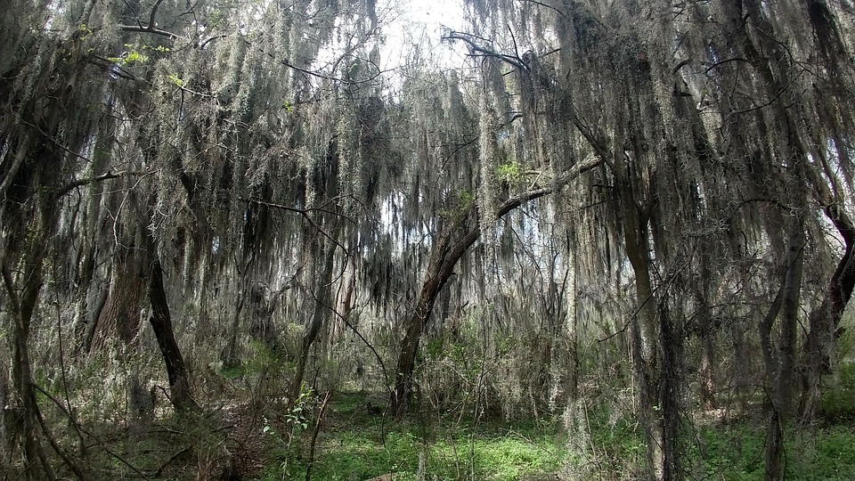Eco How-To: Weave Moisture, Heal Barren Ground