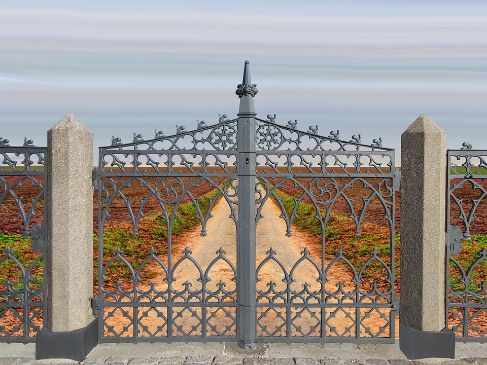 Symbolic Essay: Moss Weaving and Honeycomb Whispers