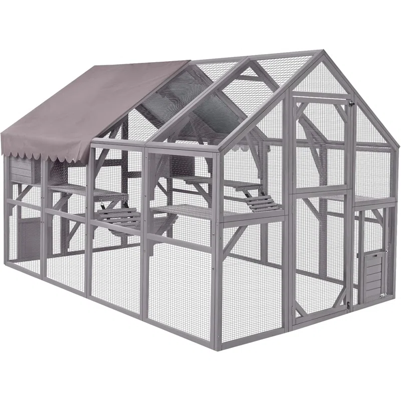 and now i'm planning a catio