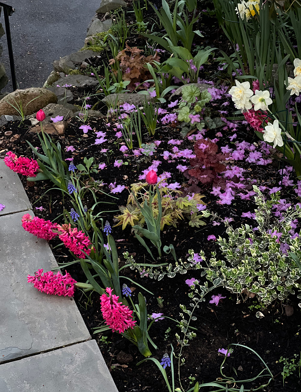 mix of brightly colored spring flowers