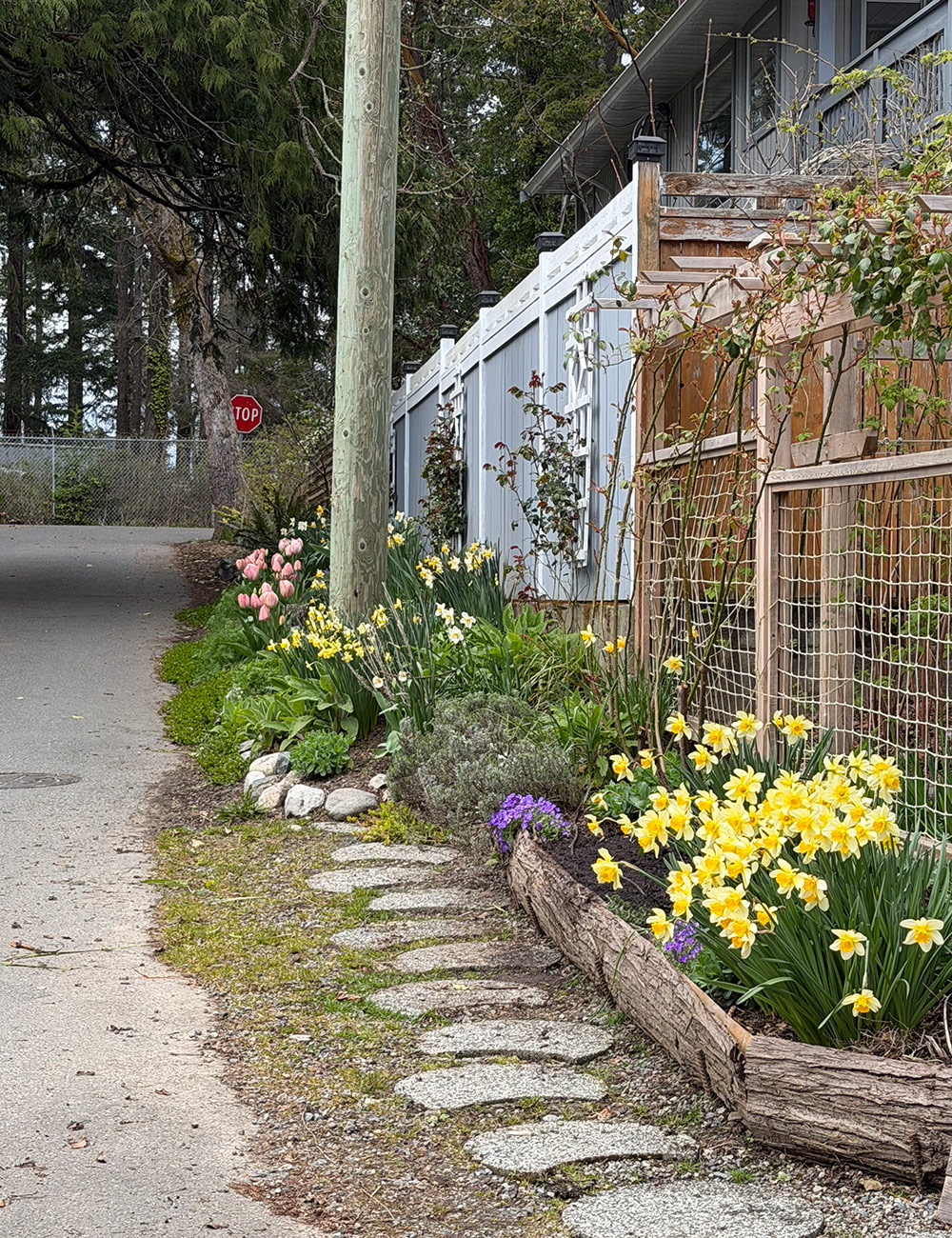 spring bulb border
