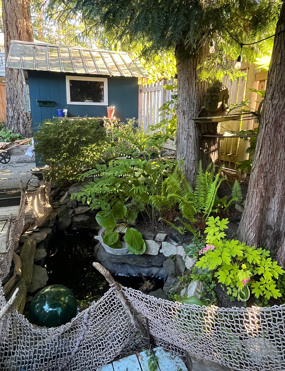 garden pond