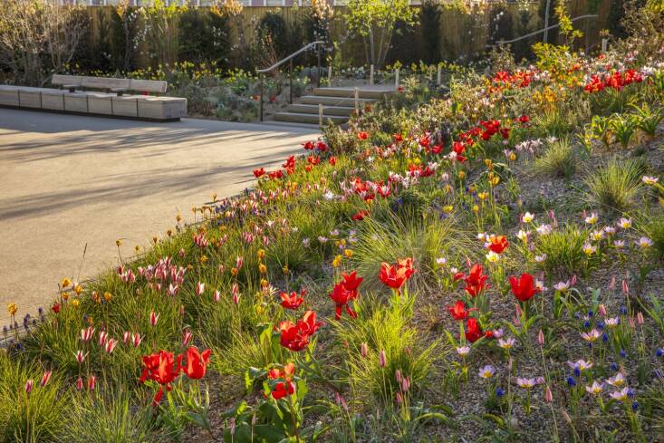 new london garden