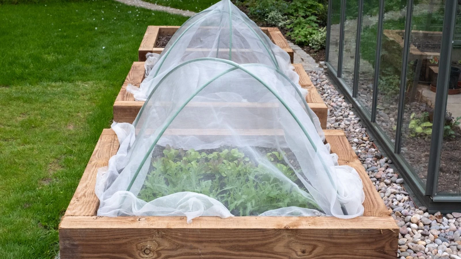 a close-up shot of several raised bed, with hoops and covers, placed on a garden bed surrounded by a green lawn