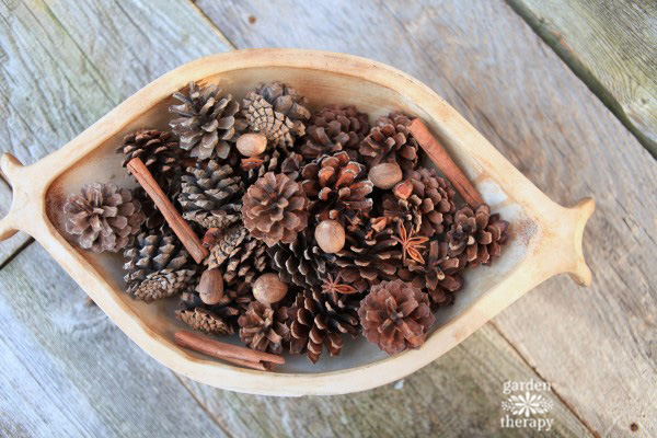 scented pine cone diffuser with natural spices