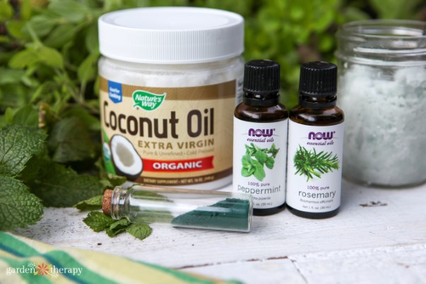 rosemary and peppermint sugar scrub ingredients