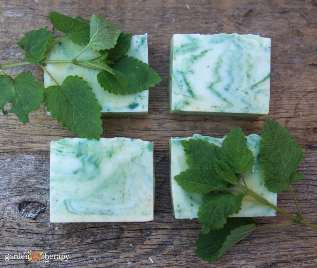 Lovely Lemon Balm Soap (Cold Process Recipe)